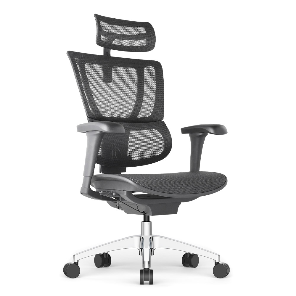 Эргономичное кресло Falto IOO PROJECT 2 (черный каркас / сетка чёрный W09-01 / крестовина металл)