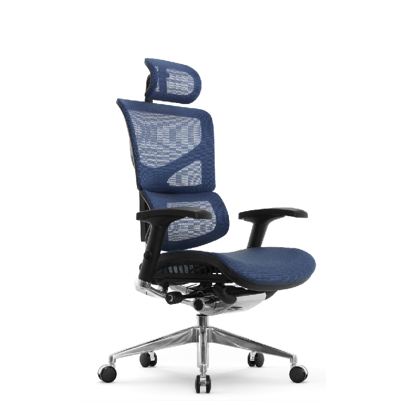Эргономичное кресло Expert Sail HSAM 01 (сетка синий / каркас черный)