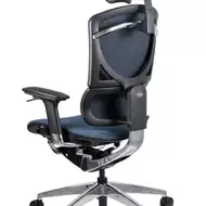 Эргономичное кресло GT Chair I-see SE-13D LP-06