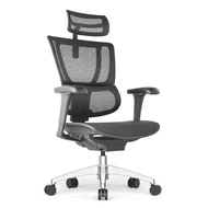 Эргономичное кресло Falto IOO PROJECT 2 (черный каркас / сетка чёрный W09-01 / крестовина металл)