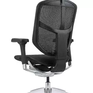 Эргономичное кресло Falto Enjoy Elite 2 (черный каркас / сетка чёрный T-168-B1 / крестовина металл)