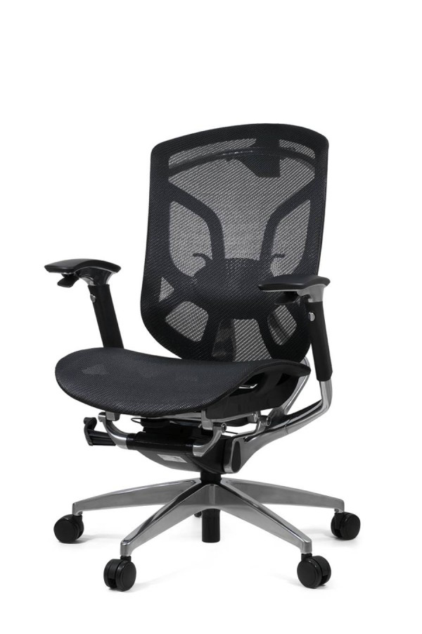 Эргономичное кресло GT Chair Dvary DV-10E GT-12, без подголовника
