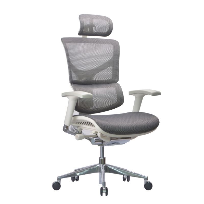 Анатомическое кресло Expert Sail HSAM 01-G (сетка серая / каркас серый)