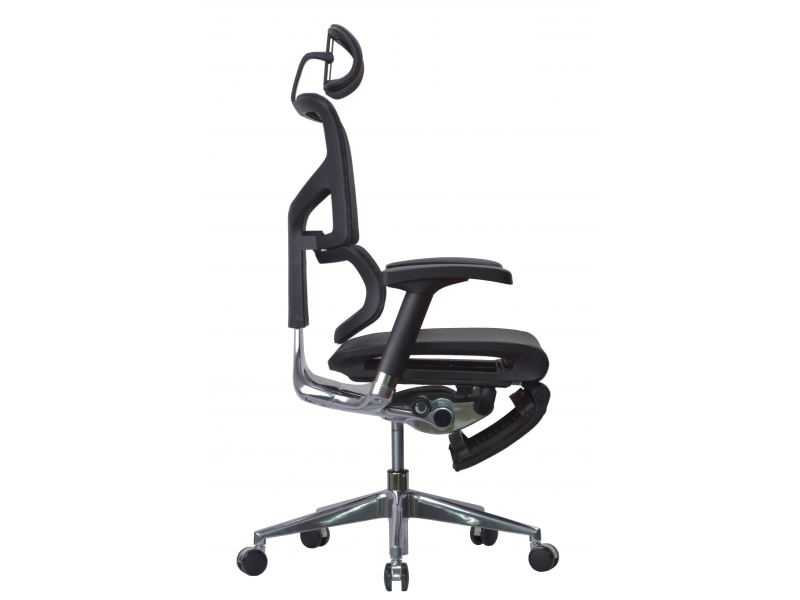 Анатомическое кресло Expert Sail RSAM 01 (сетка черная / каркас черный с подножкой)
