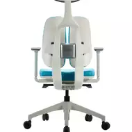 Эргономичное кресло Duorest 2.0 D200 W