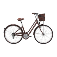Велосипед Giant Liv Flourish 2 2018 XS Brown green