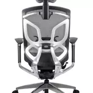 Эргономичное кресло GT Chair Dvary DV-10E GT-12