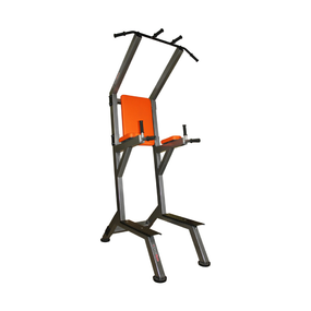 Турник/пресс/брусья Profigym СВ-0030-G Classic