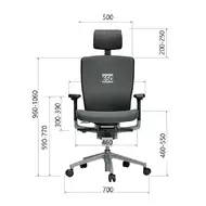 Эргономичное кресло Schairs AEON-P01S (каркас черный / хром)