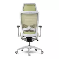 Эргономичное кресло Schairs ZEN2-М01W (каркас белый)