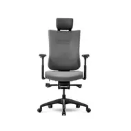Эргономичное кресло Schairs TONE-F01B (каркас черный)