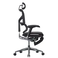Анатомическое кресло Expert Sail RSAM 01 (сетка черная / каркас черный с подножкой)