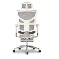 Анатомическое кресло Expert Sail RSAM 01-G (сетка серая / каркас серый с подножкой)