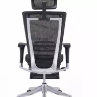 Эргономичное кресло Expert Spring RSPM 01 (сетка черная / каркас черный с подножкой)