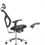 Эргономичное кресло Expert Star RSTM 01 (сетка черная / каркас черный с подножкой)