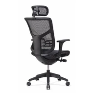 Эргономичное кресло Expert VISTA VSM01-BK (сетка черная / каркас черный)