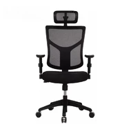 Эргономичное кресло Expert Star EURO STE-MF01S (черный / каркас черный)