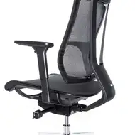 Эргономичное кресло Falto G-1 AIR GON 18KALH-AL-BK (каркас черный, спинка сетка черная, сиденье сетка черная)