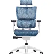 Ортопедическое кресло Expert VISION VIM01-W-Т-04 (каркас белый / сетка голубая)