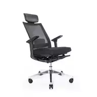 Эргономичное кресло Falto A-1 AON-11-KAL-AL/BK-BK (каркас черный / спинка черная / сиденье черное)