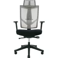 Эргономичное кресло Falto HOSHI Fabric (каркас чёрный, сидение ткань WT-805 чёрный, сетка KW-02 бежевый)