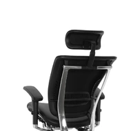 Эргономичное кресло Expert Spring SPL - 01 (кожа черная / каркас черный)
