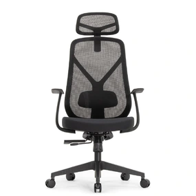 Эргономичное кресло Falto Kuraj (поясничный упор, сетка, ткань, чёрный)