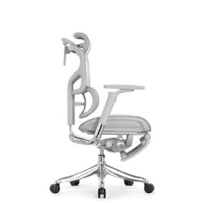 Эргономичное кресло Falto Pro 2 с подножкой (3D поясничный упор, подголовник 4D, каркас серый, белый)