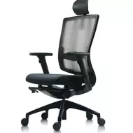 Ортопедическое кресло Duorest DuoFlex Bravo BR-200C
